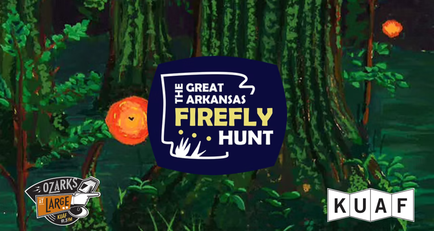 Great Arkansas Firefly Hunt encourages citizen scientists to log